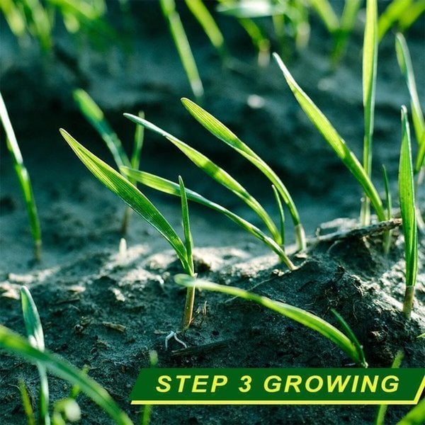 BioMats™ | Organic Grass Seed Mat