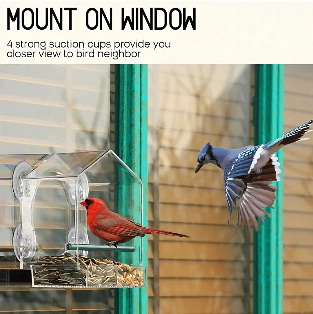 ClearNest™ - Transparent window case bird home